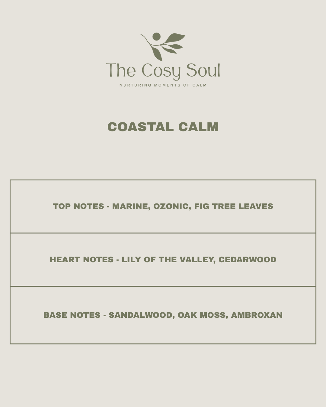 Scent profile for 'Coastal Calm' from The Cosy Soul candle range.