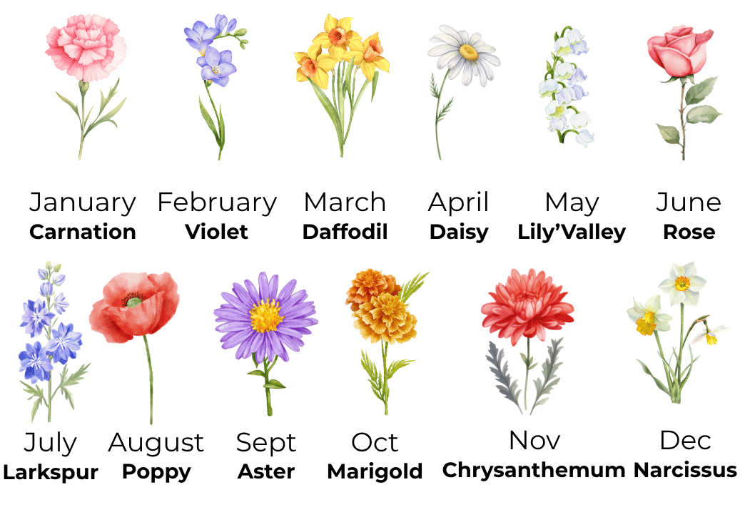 Illustrations of flowers corresponding to each month with their names.