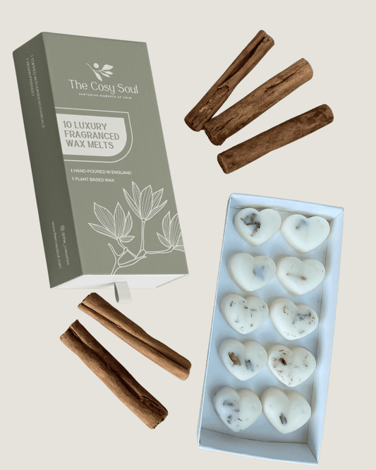 The Cosy Soul Gingerbread Wax Melts with dried cinnamon bark