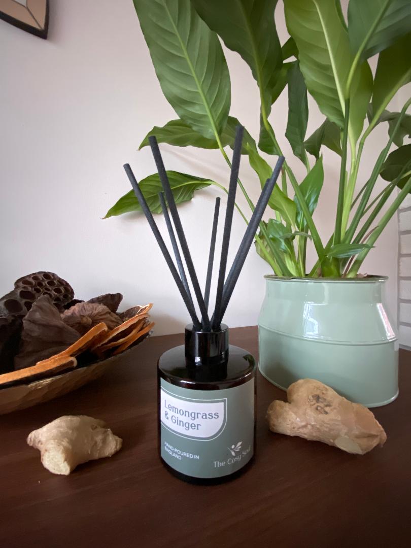 Lemongrass and Ginger Diffuser with reeds on a table next to a potted plant and decorative items.